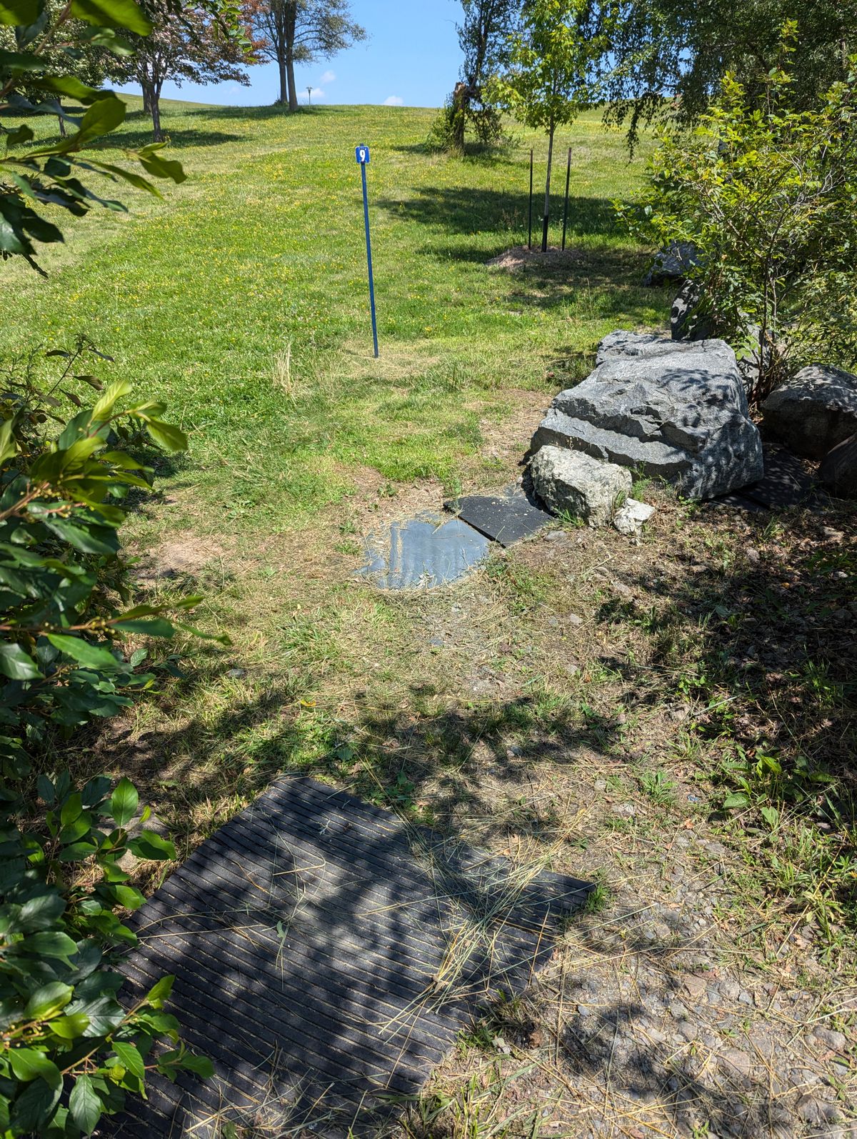 Hole 9 - Long treepad