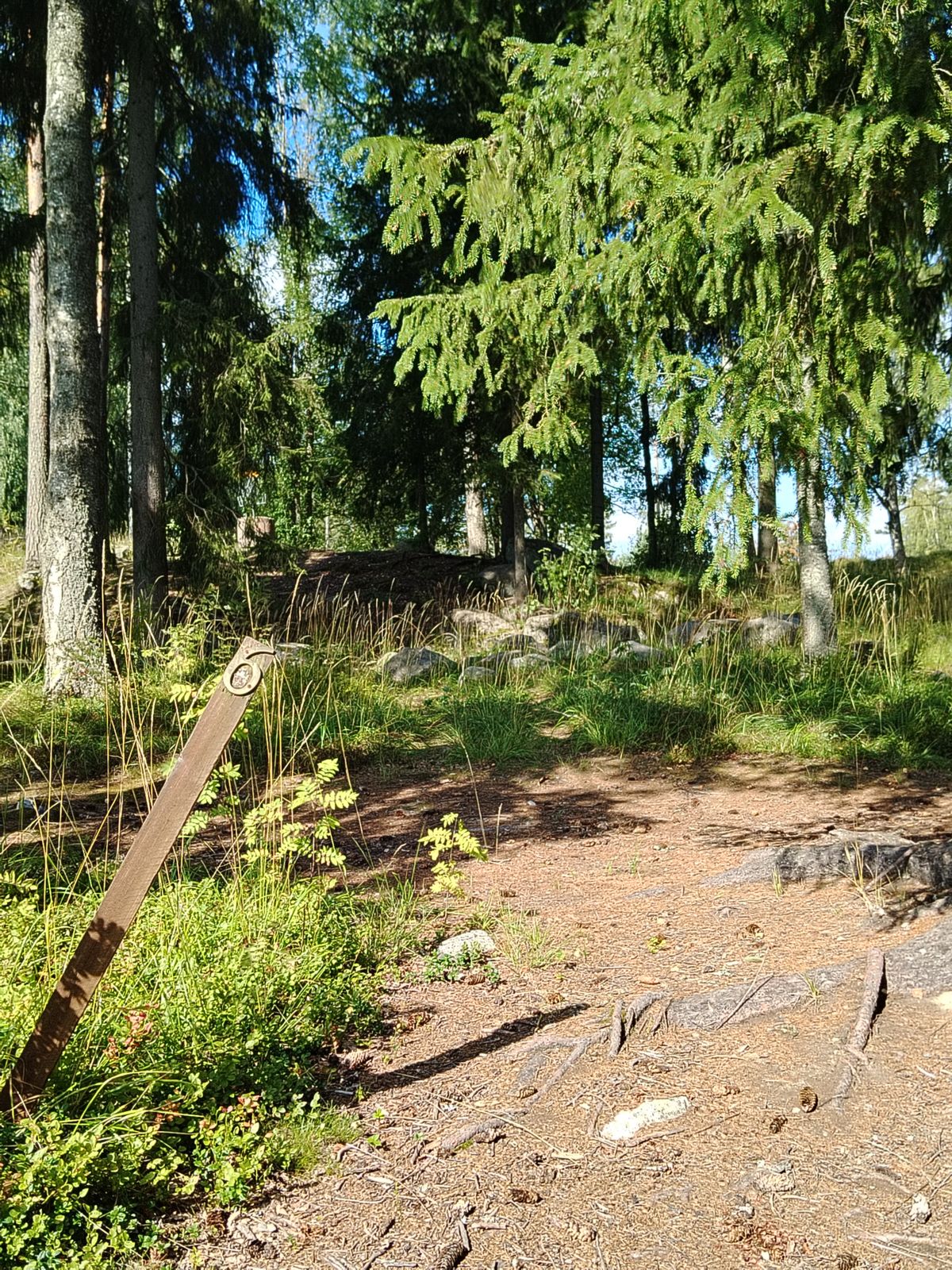 Väylän 1 ja kyltit paikallaan muut heitetty mettään 🤔😖