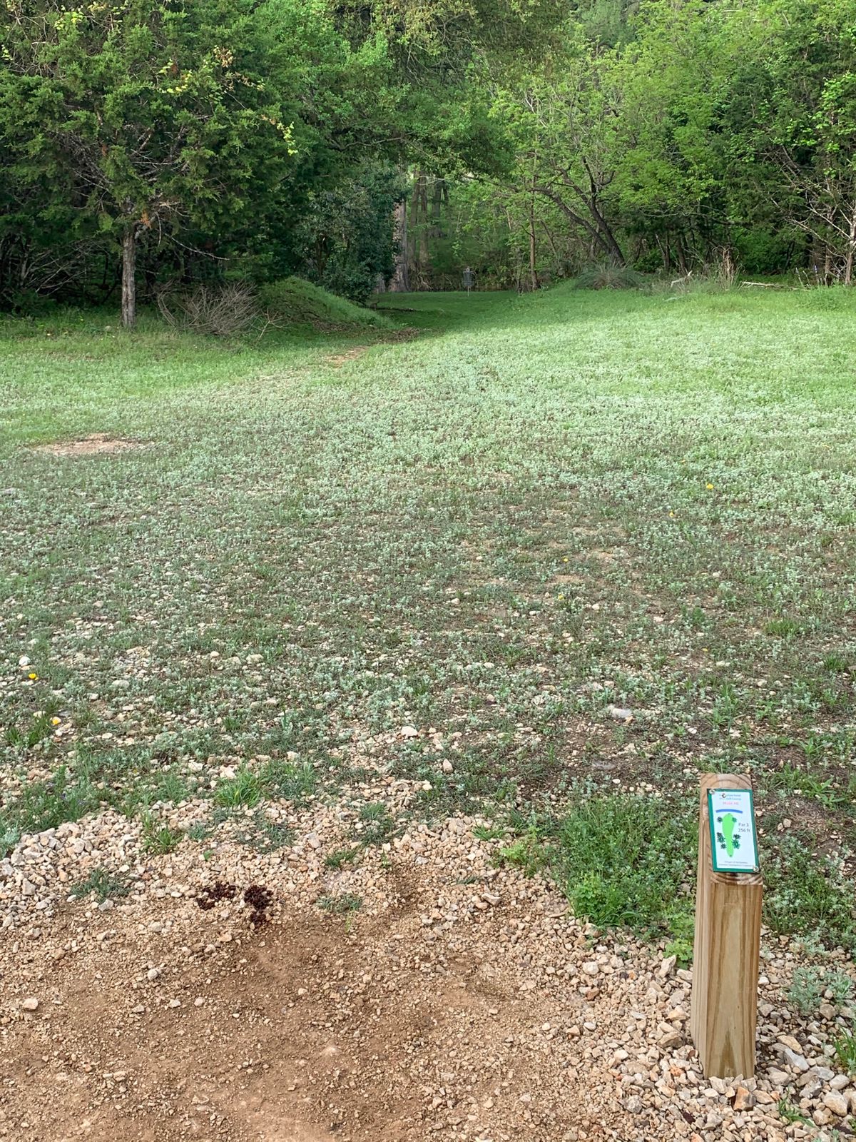 Beautiful little downhill shot toward the river - there’s some wire mesh to save errant upshots