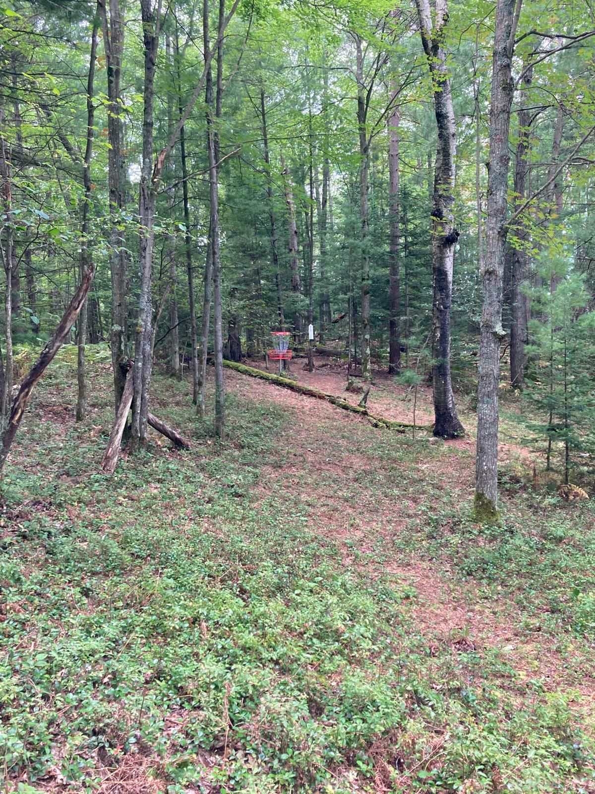 Approach Hole #10