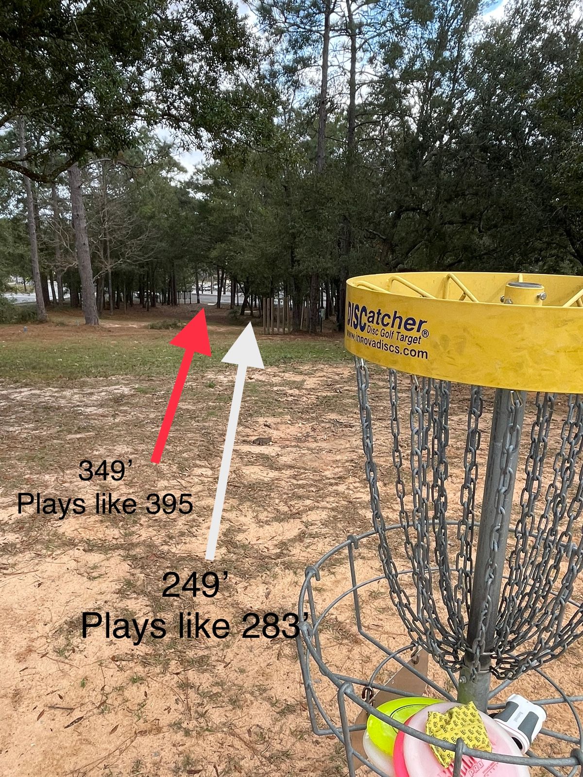 Hole 1, basket to am and pro tees