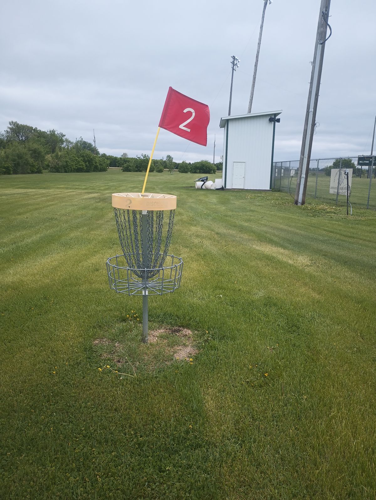 Basket on hole two