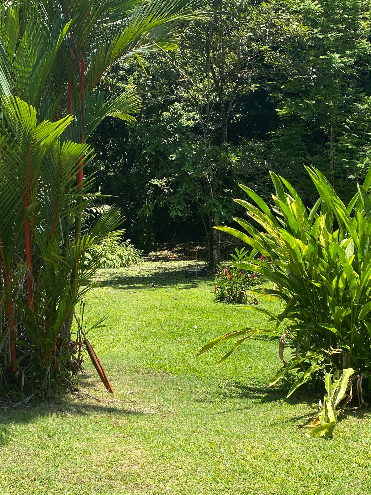 Botanical gardens