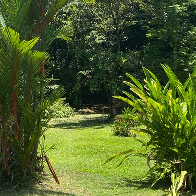 Botanical gardens