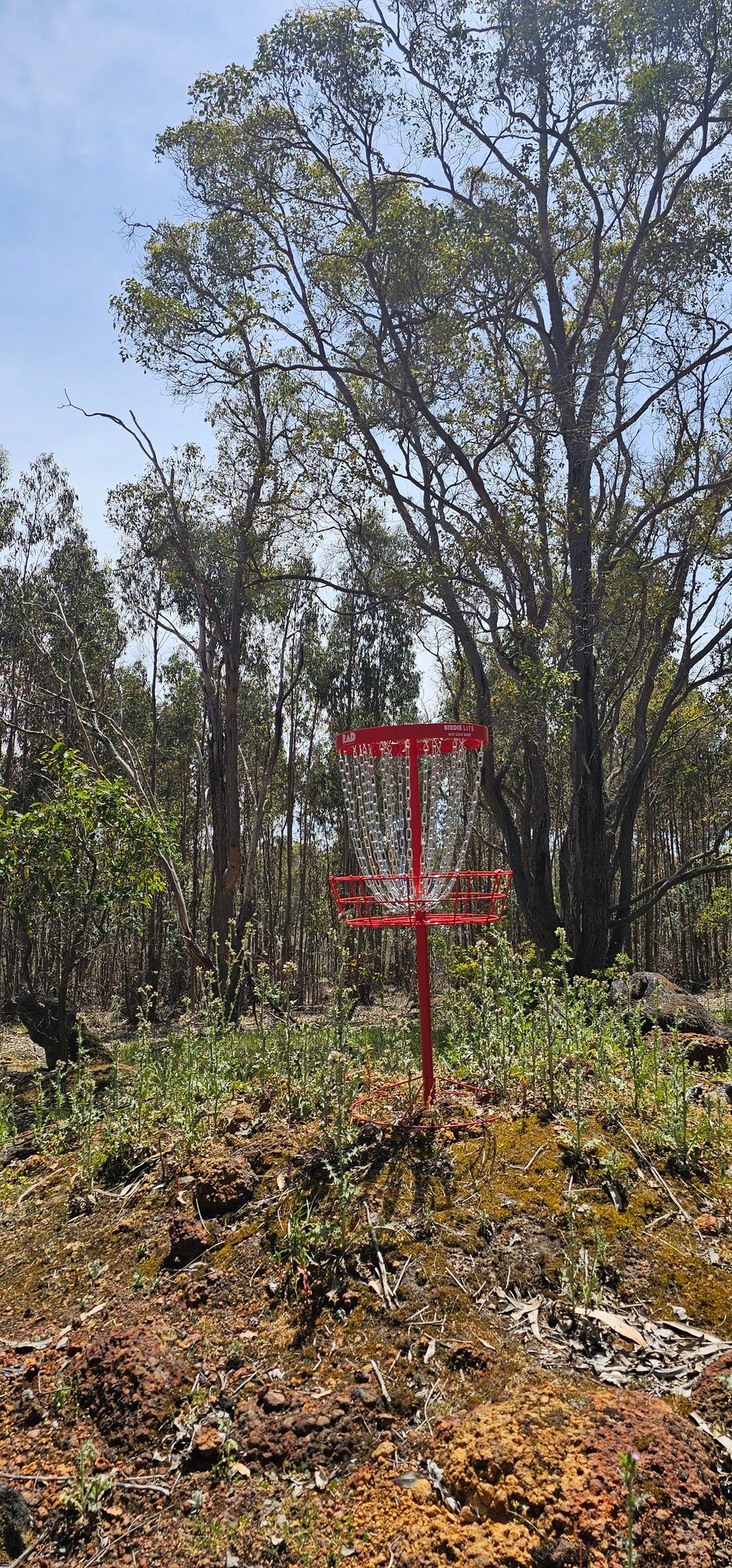 Raised Basket at hole 12
