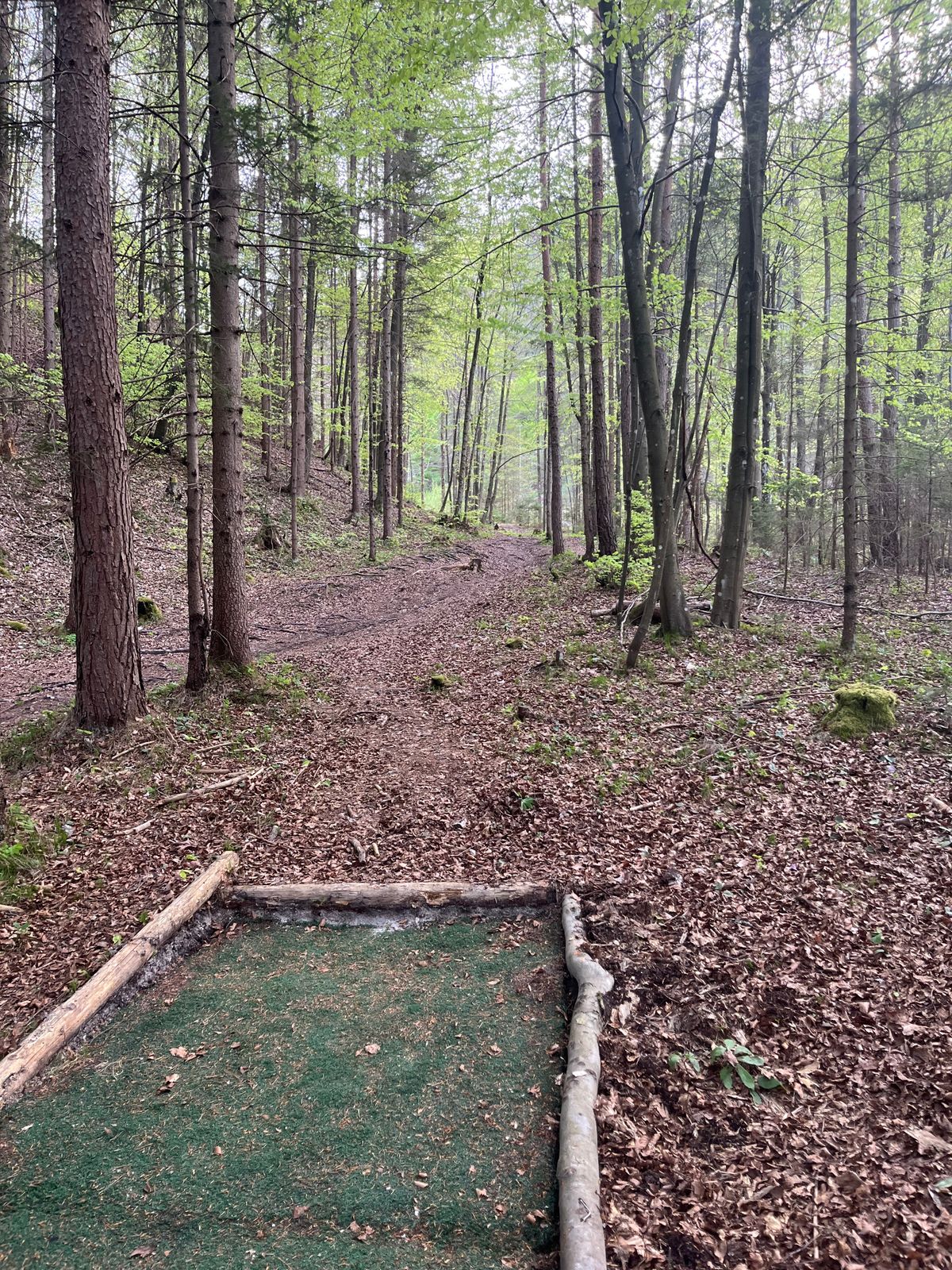 Teepad + fairway 8