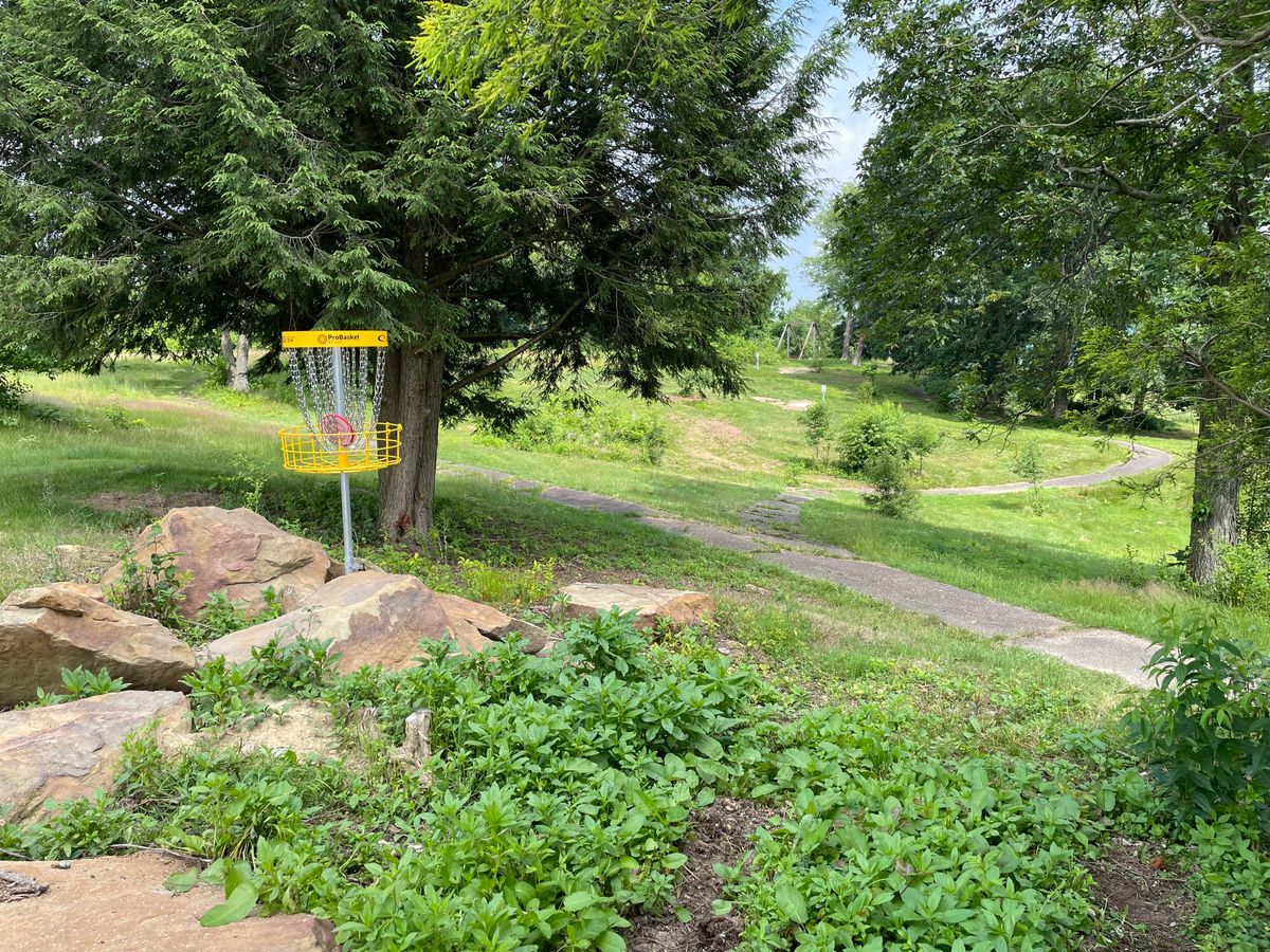 Behind basket looking back at Tees.