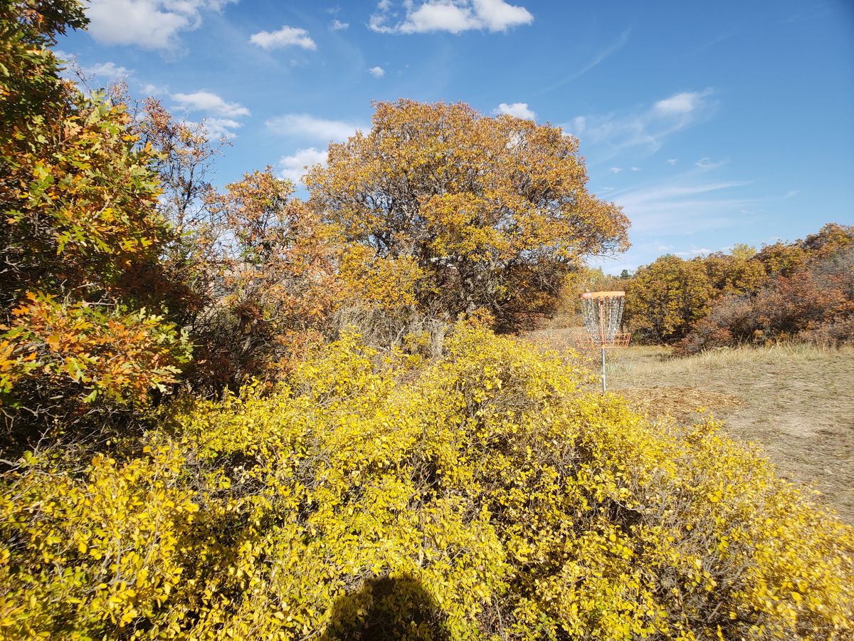 Nice fall colors