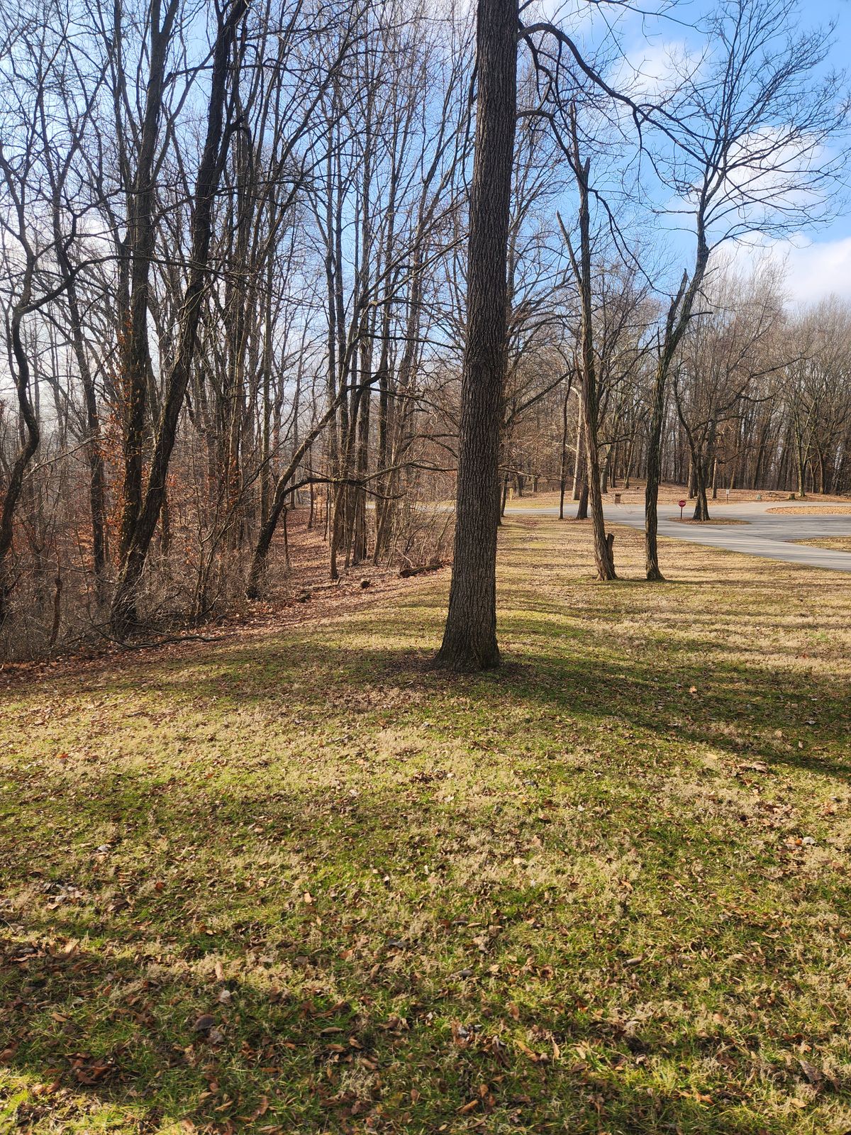 Hole 18 - from basket back to the tee pad. Safe route on the right, straight gap on left.