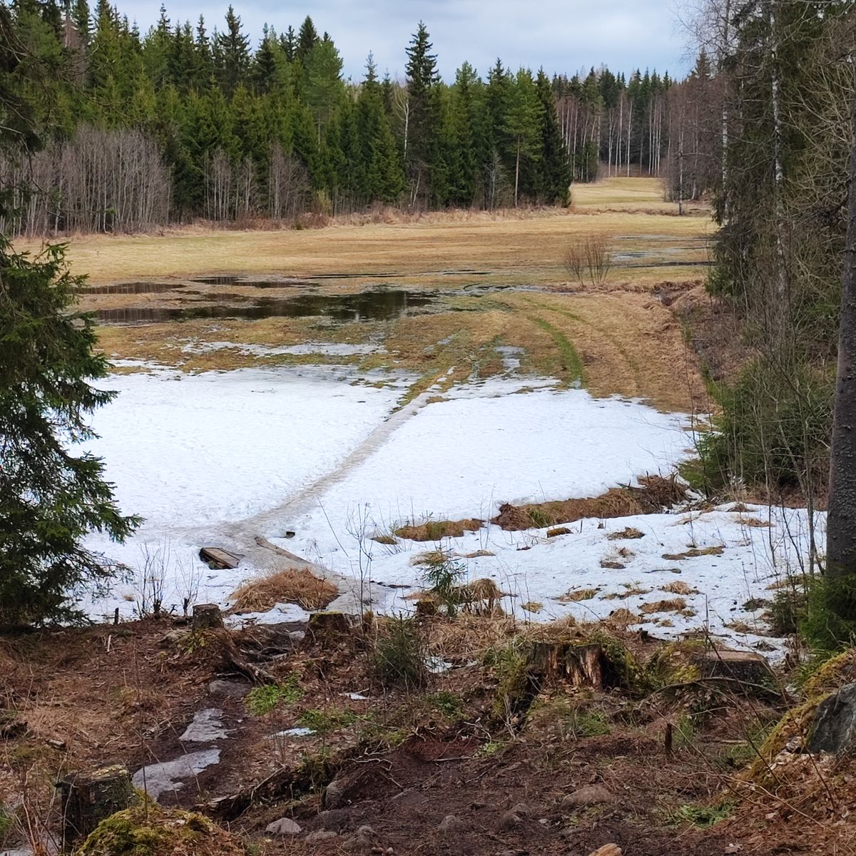 Nelosen kunto 24. 4.