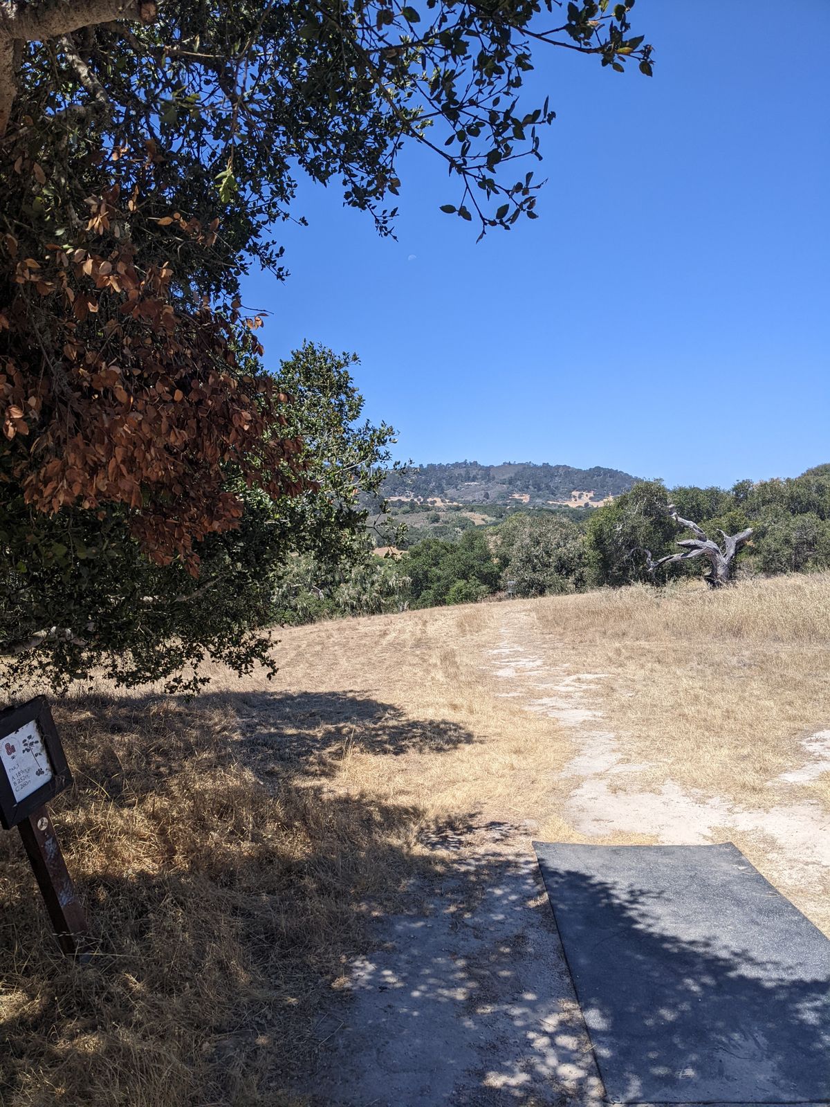 Tee pad. If you can't see the basket straight ahead, it is either on the left hillside by the Oak tree OR across the valley straight ahead in the trees.