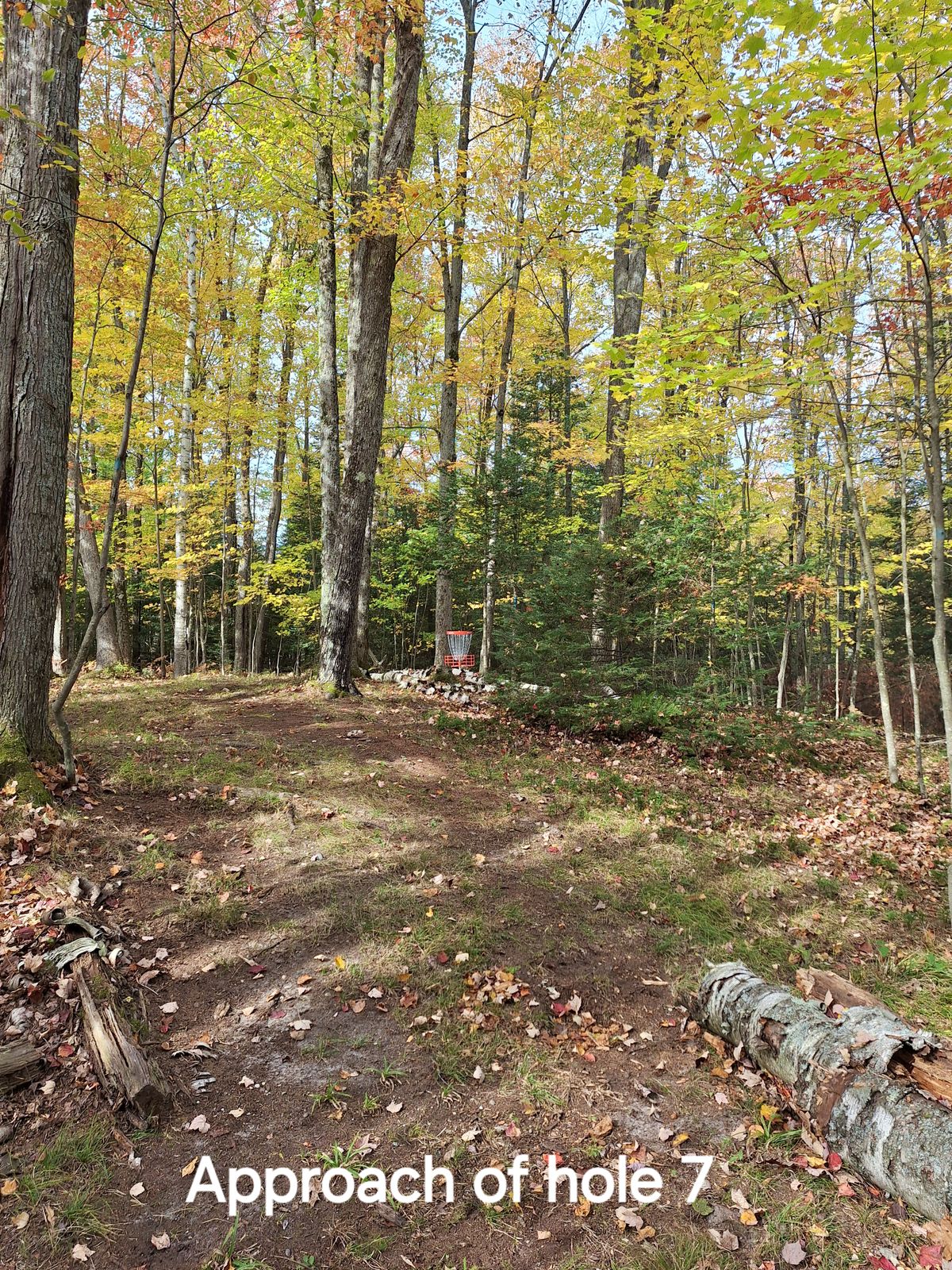 Approach of 7