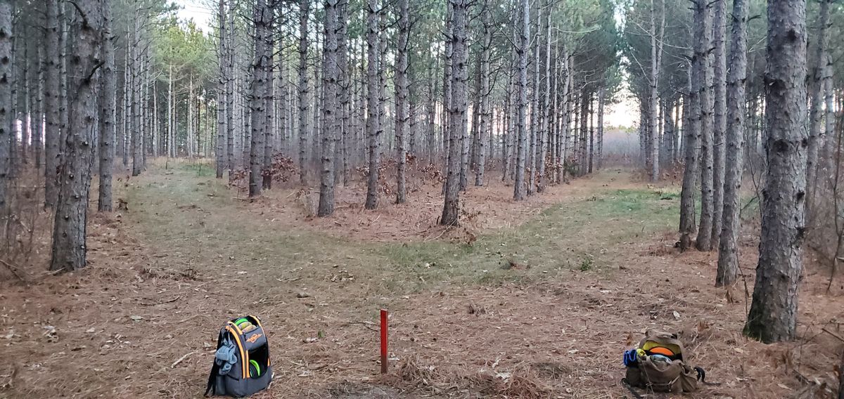 Hole #14