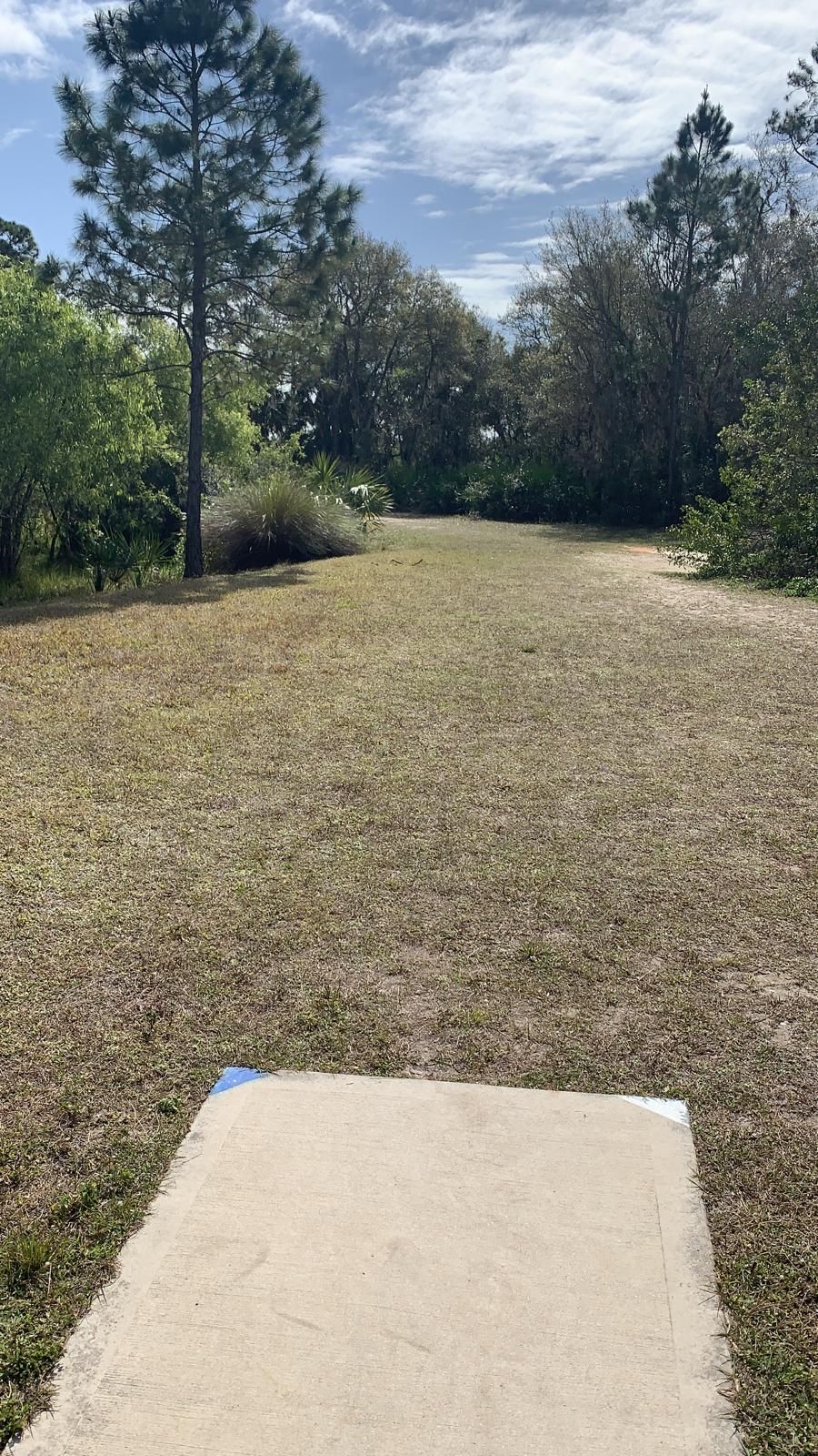 Hole #15