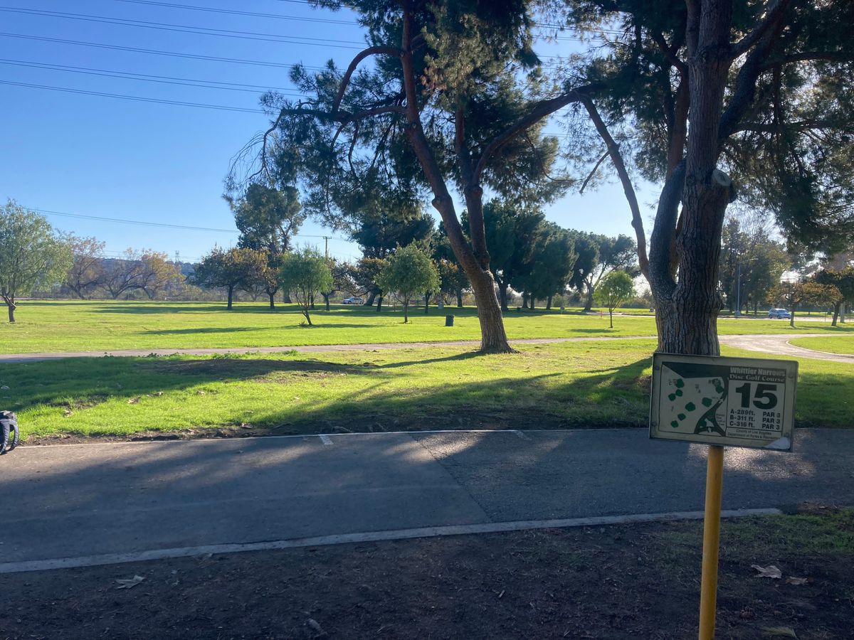 Hole 15
