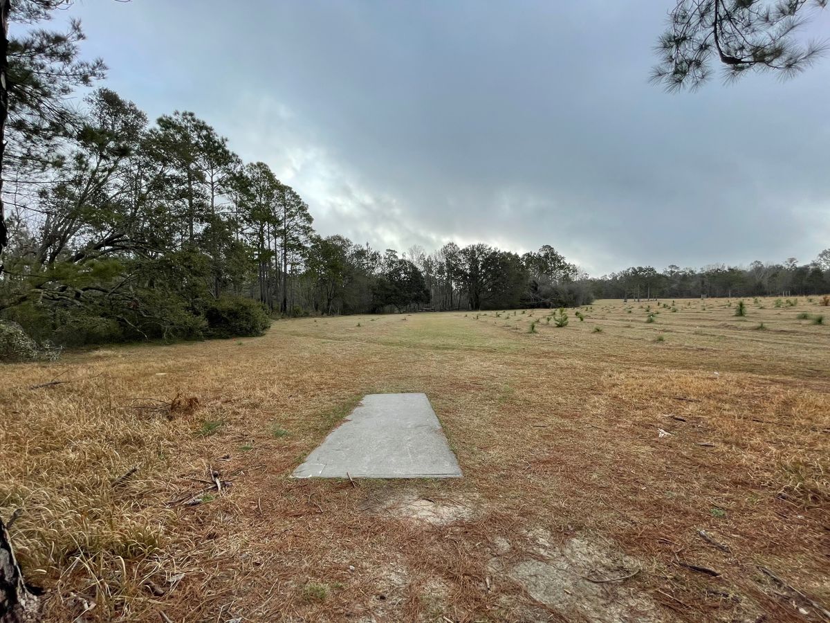 Hole 6
