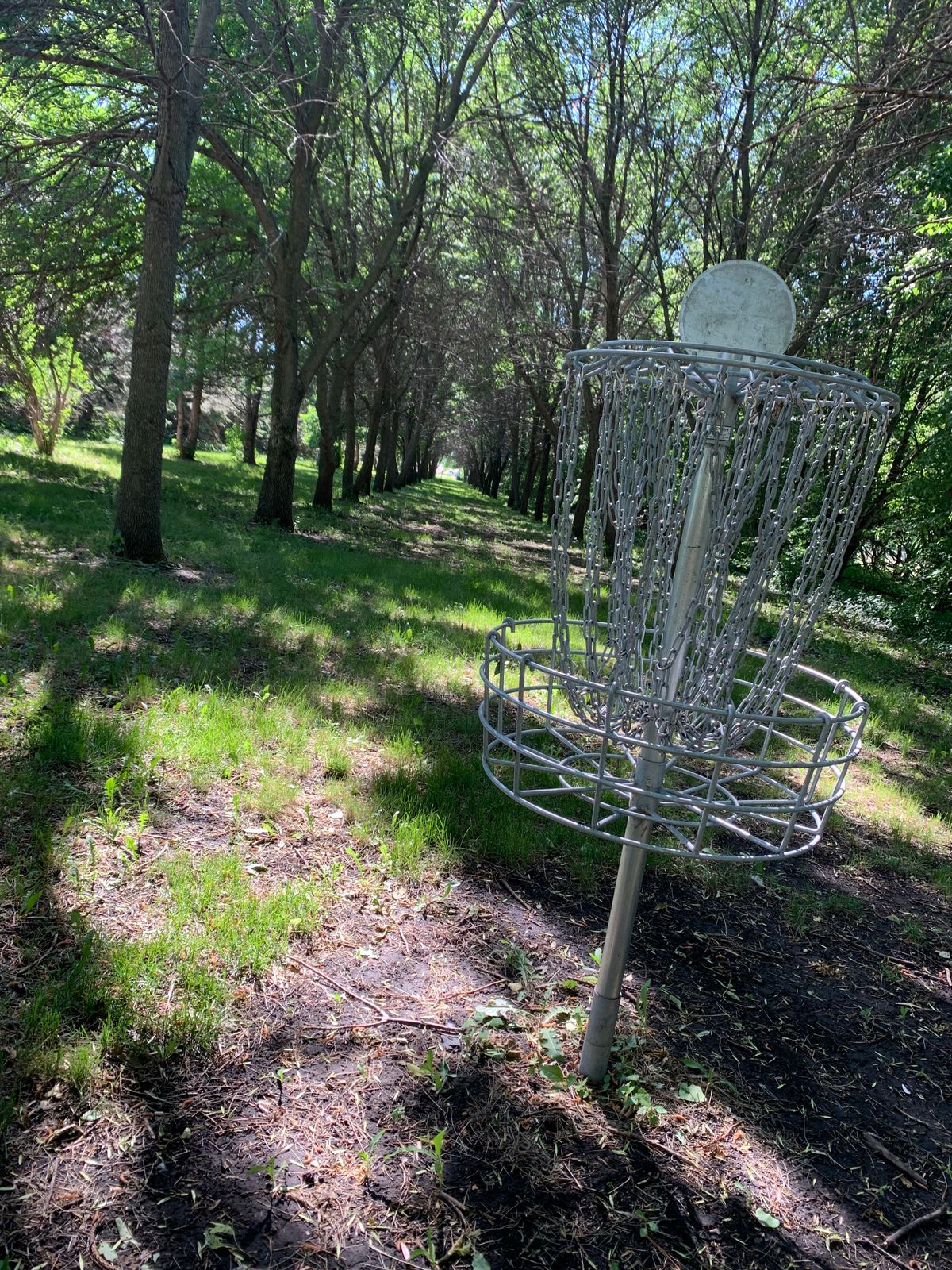 View looking back towards hole 5 teepad.