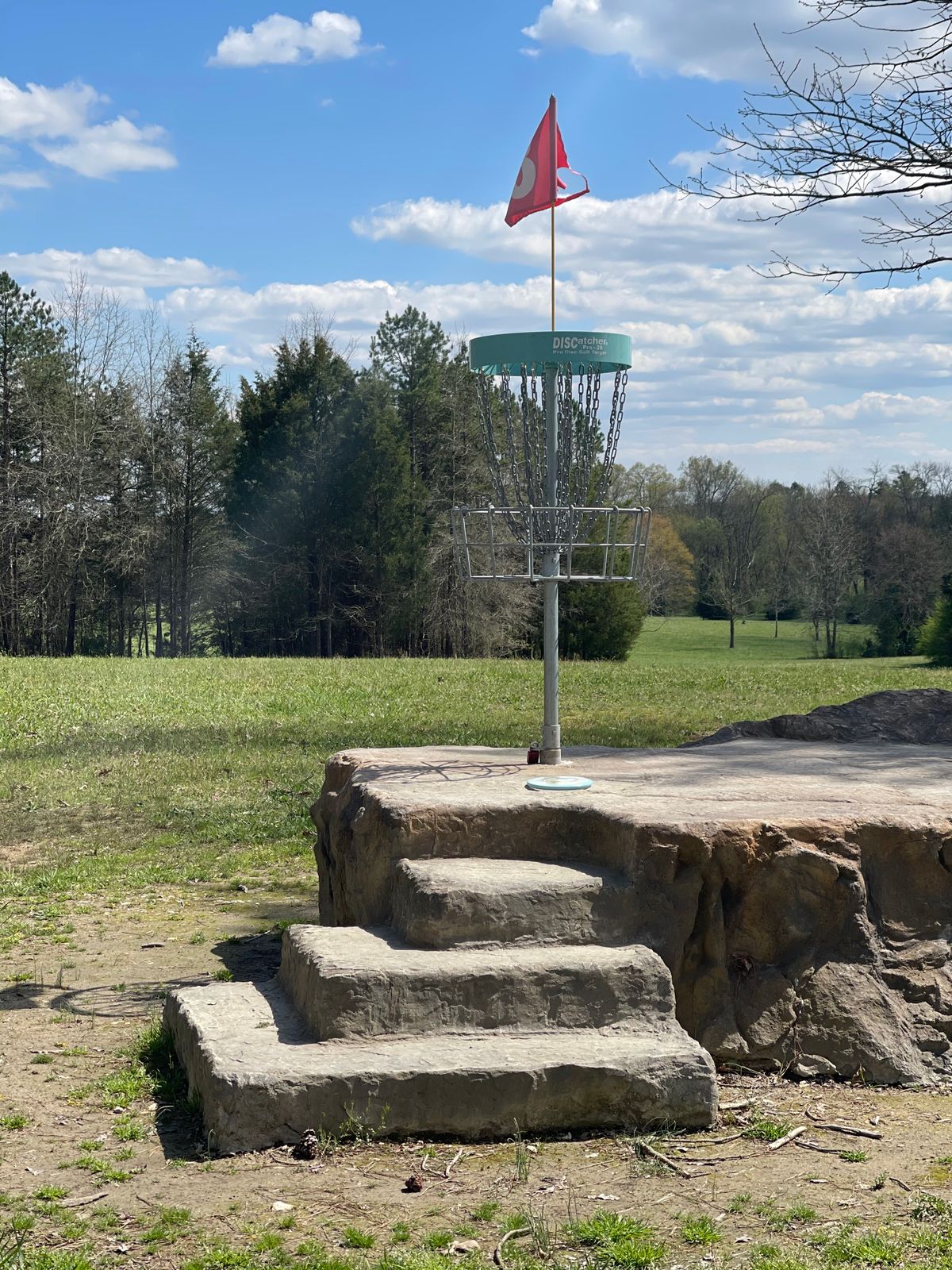 Hole 8 basket