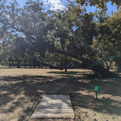 Hole 8