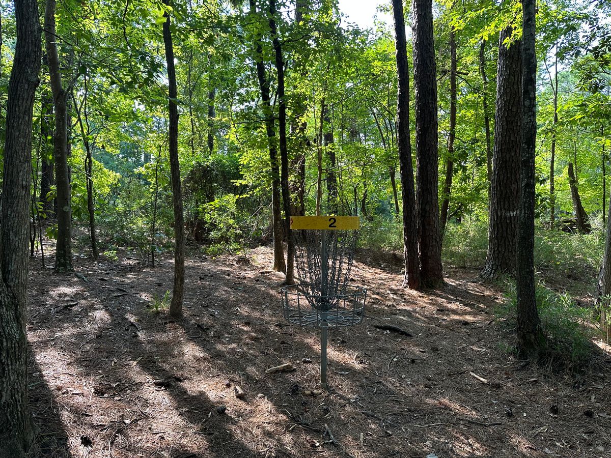 Hole 2 Basket