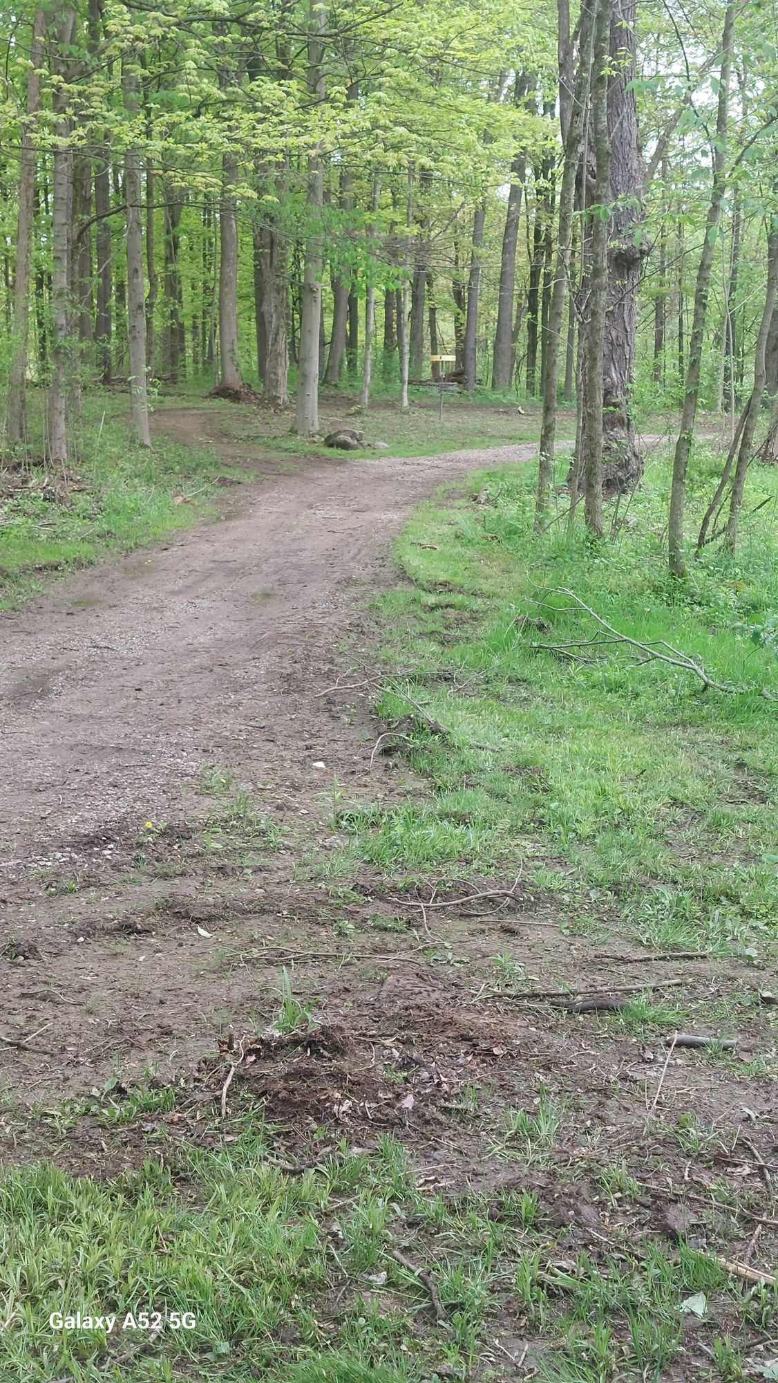 Hole 6