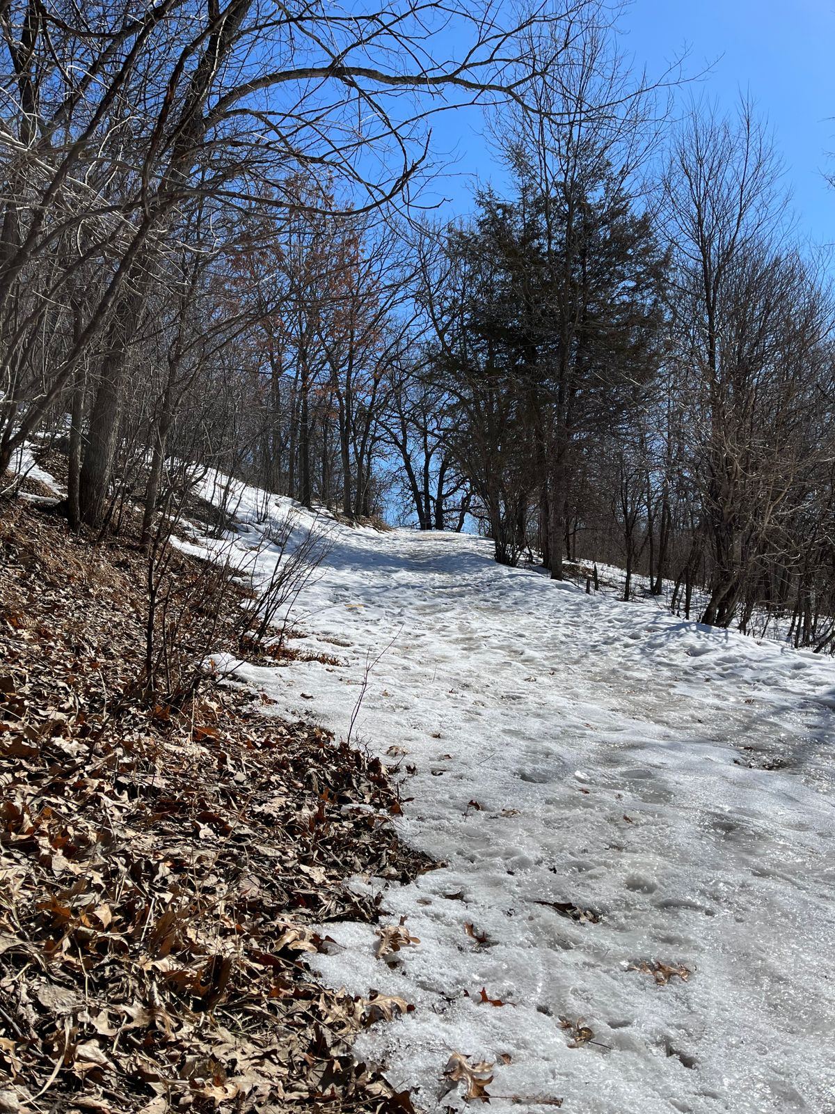 Up hill on hole 5