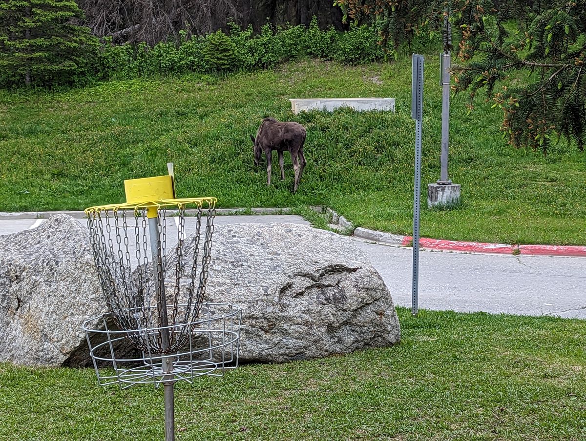 Hole 8 getting trimmed