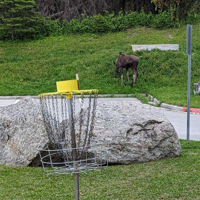 Hole 8 getting trimmed