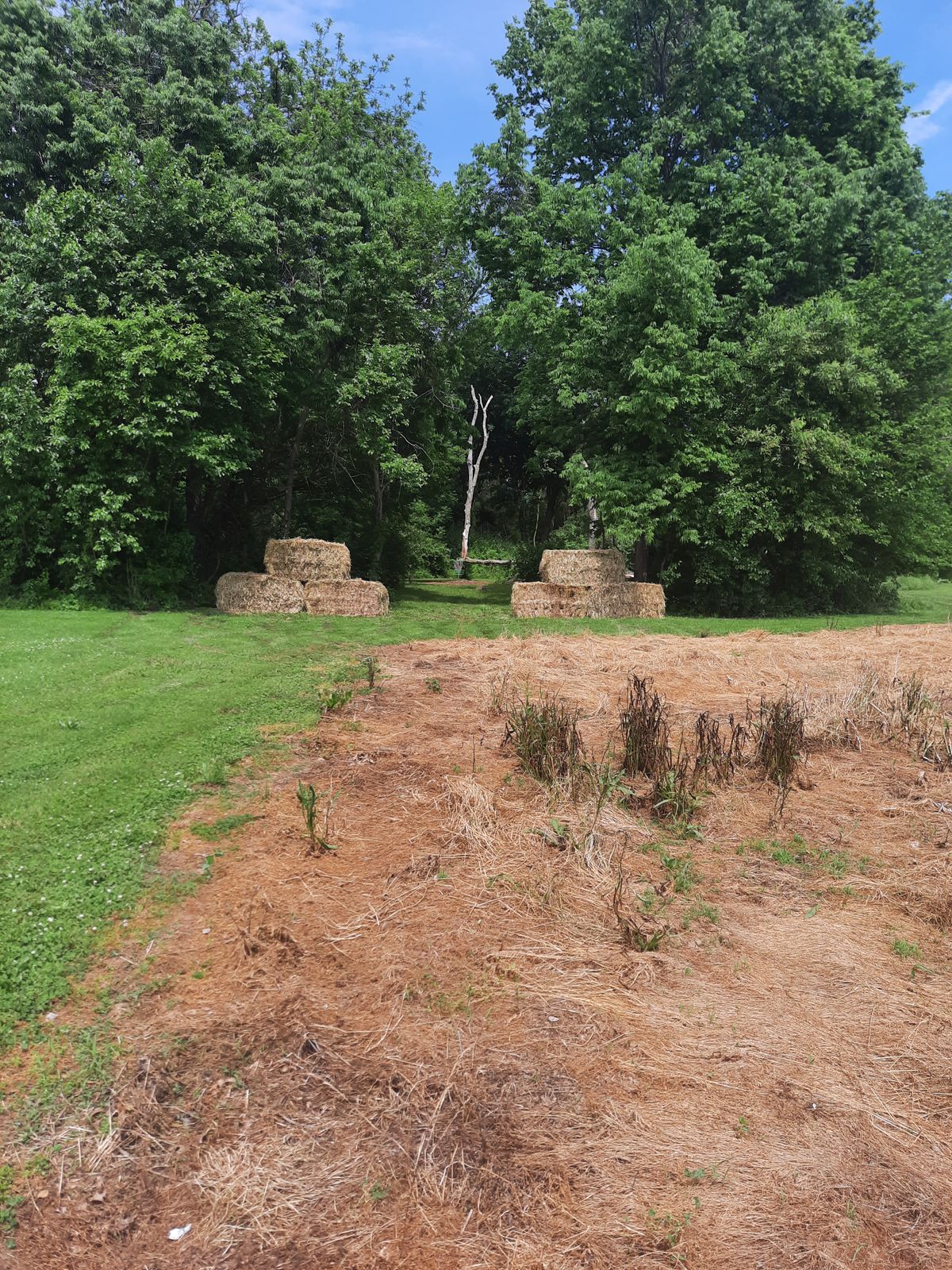 Hole 1