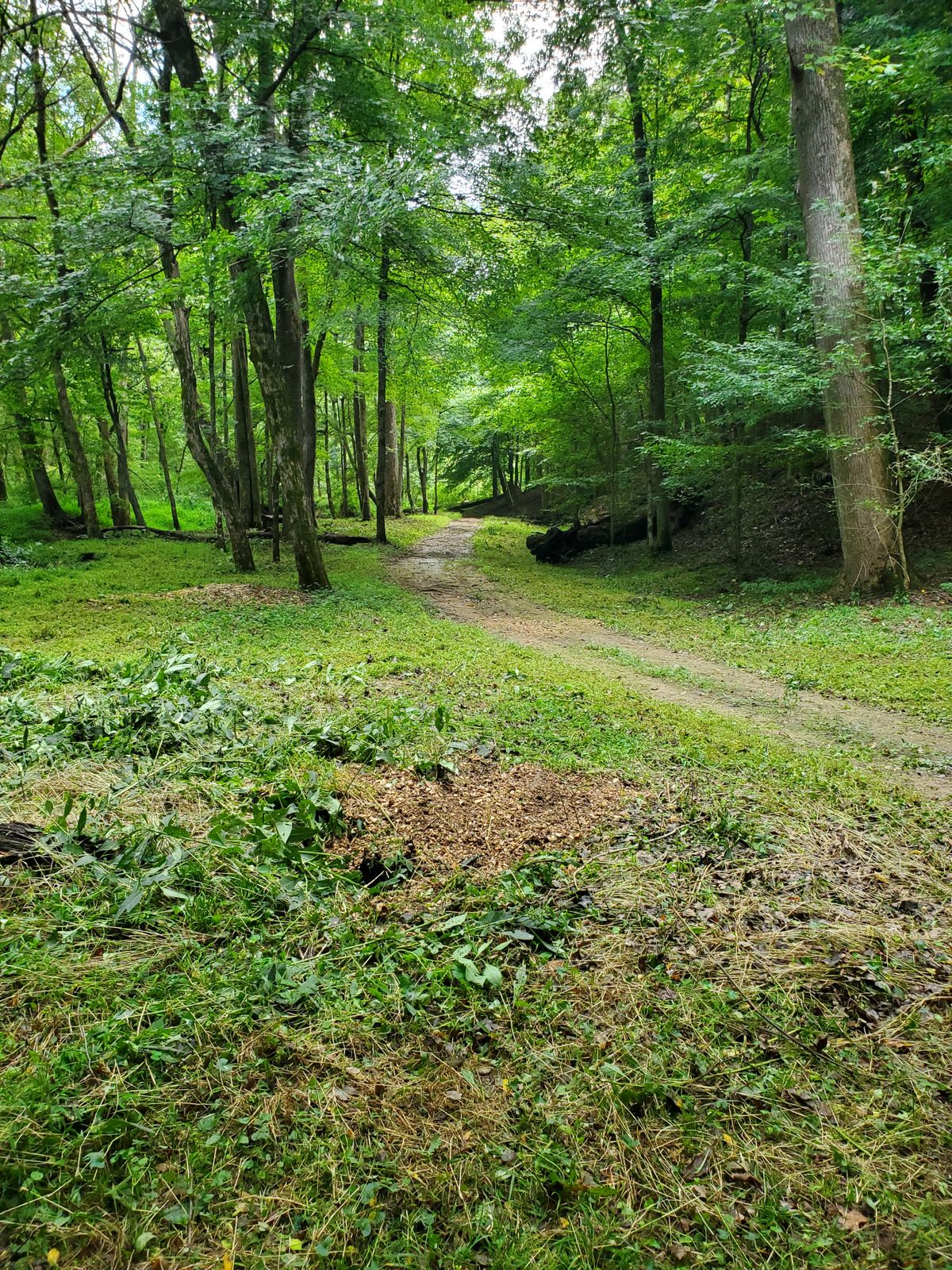 Hole 10 fairway