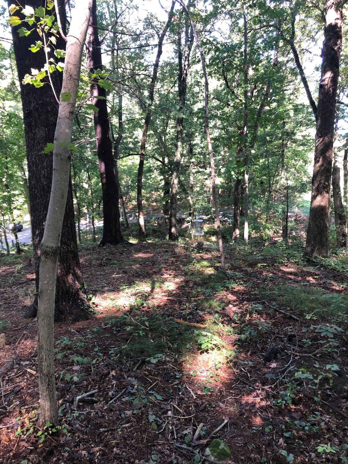 Hole 10 basket