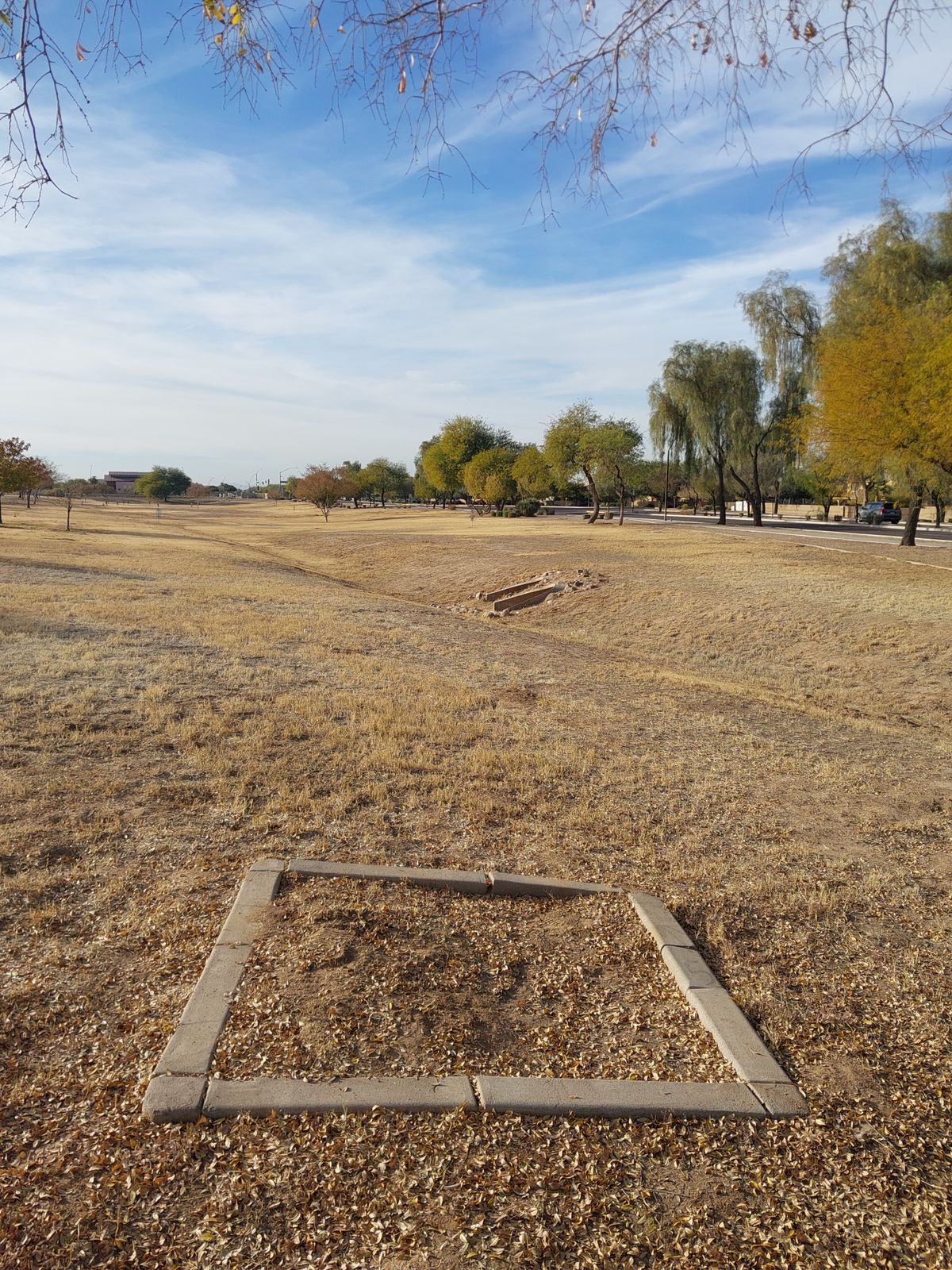 Tee 1