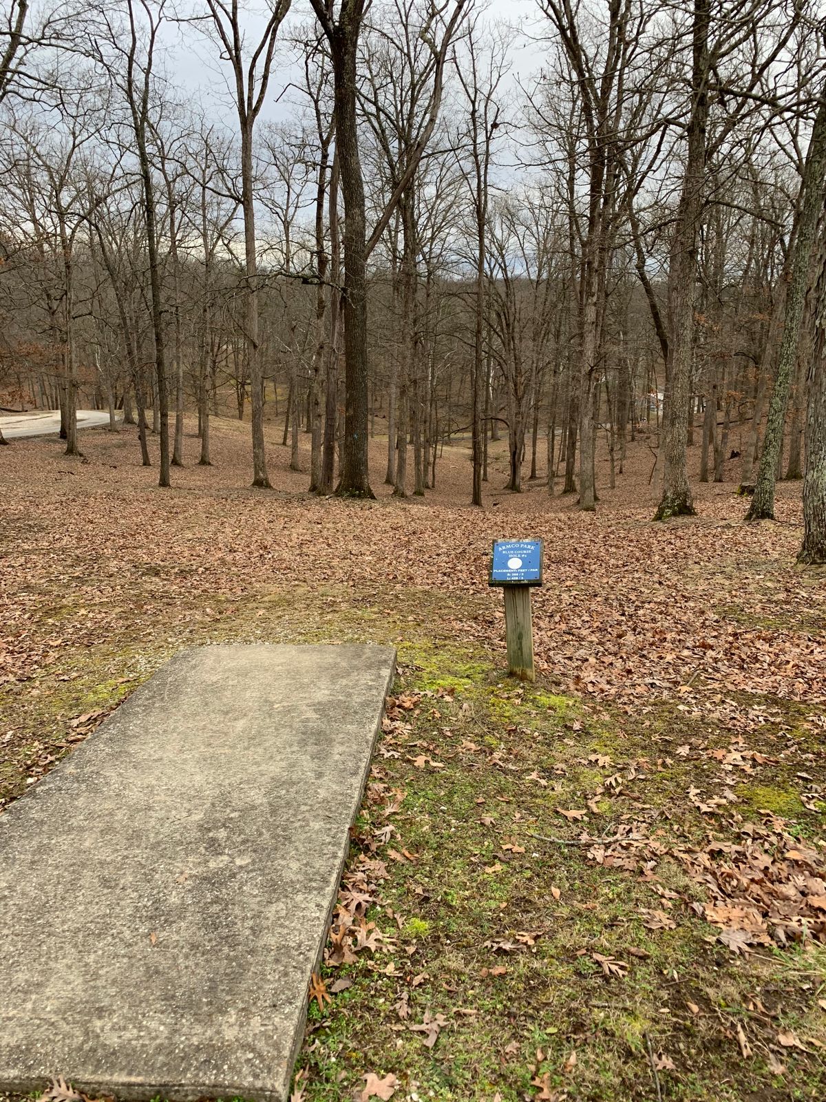 #6 Tee pad