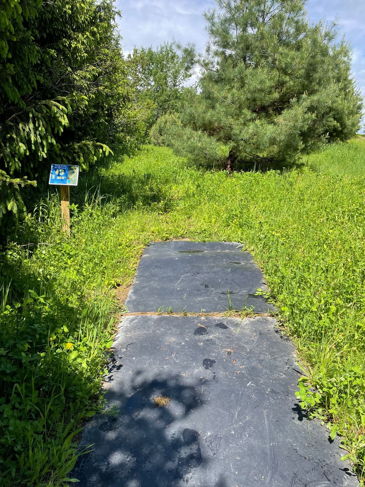Tee for 3. Confusing hole. Located deep in tall grass.