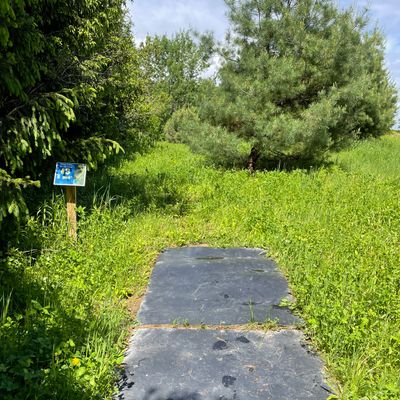 Tee for 3. Confusing hole. Located deep in tall grass.