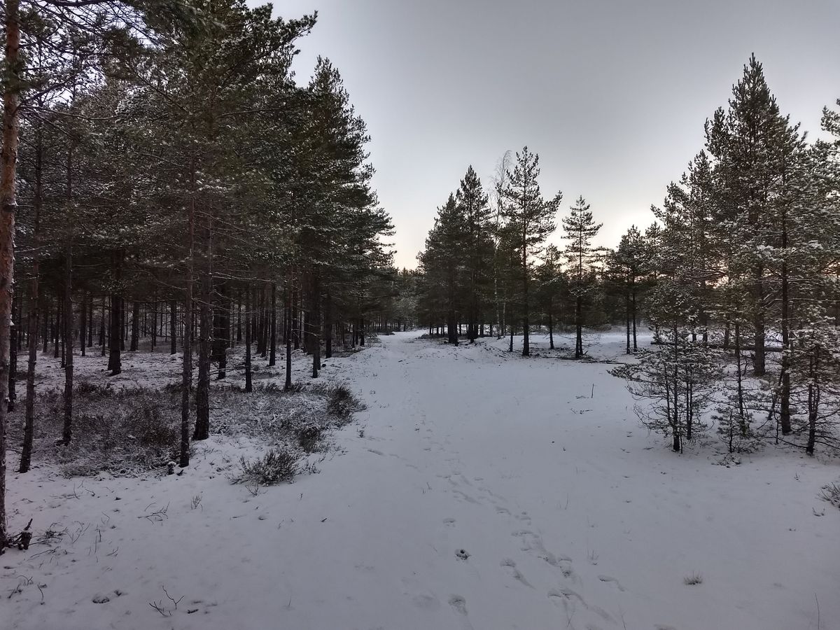 Hål 11 LZ