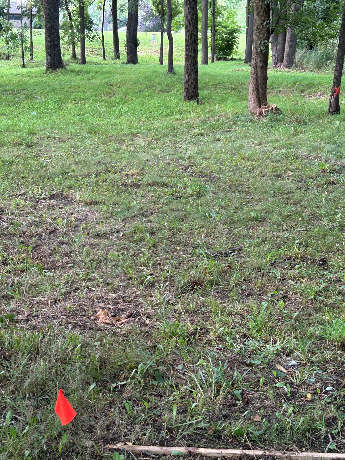 Hole 3 looks tighter than it actually is.