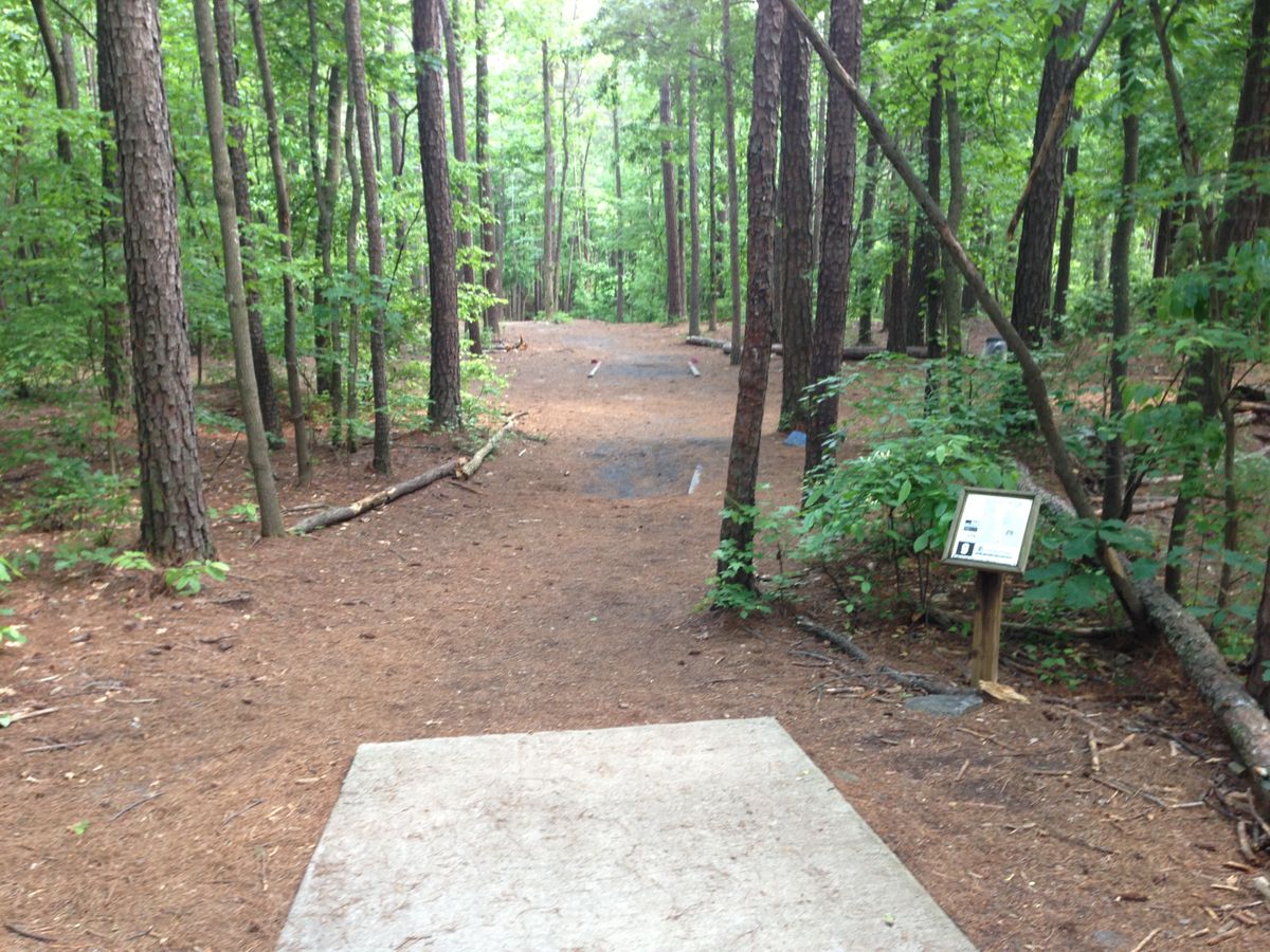 Hole 9 -- long tee