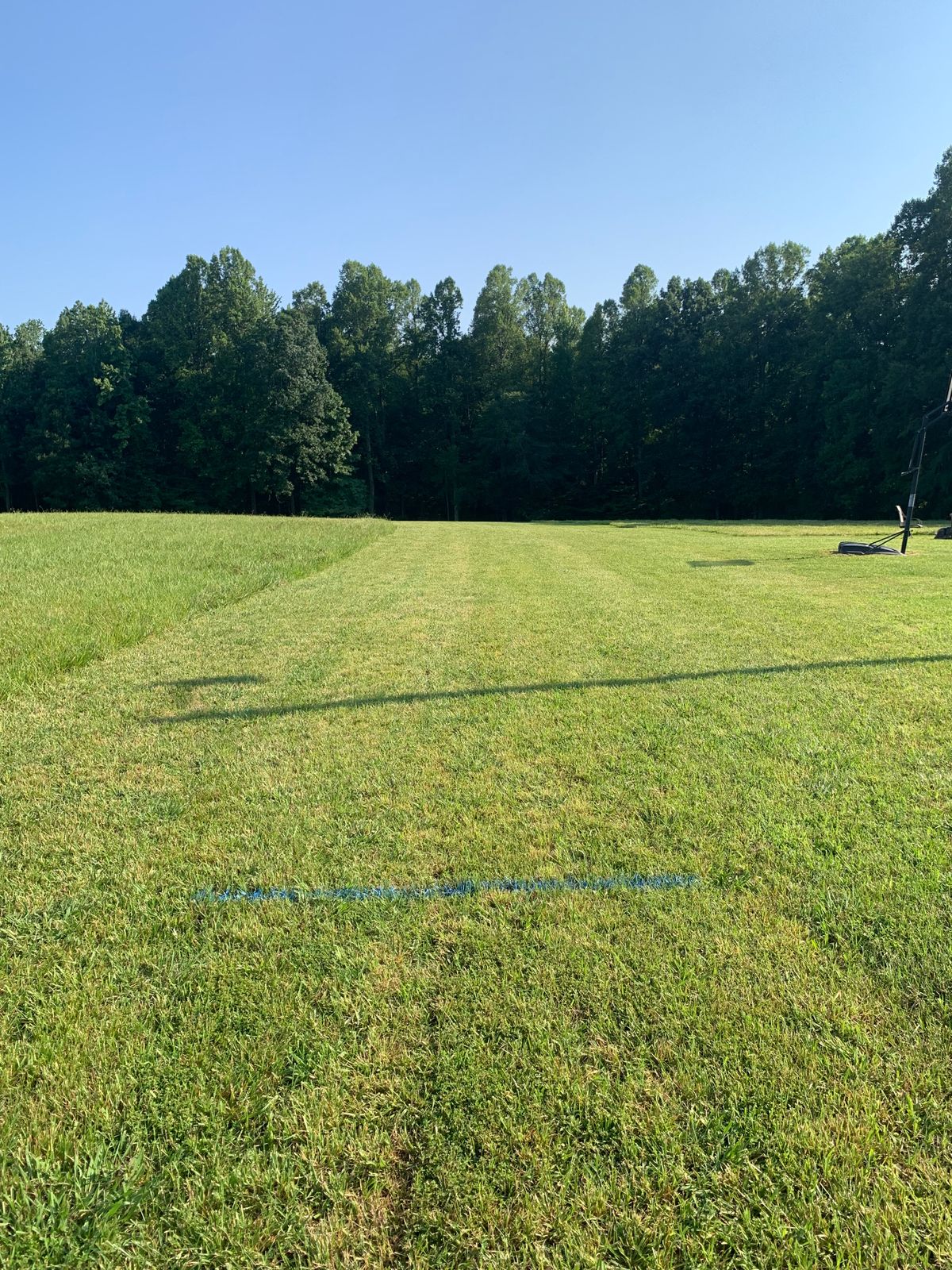 Hole 5 Blue Tee. 