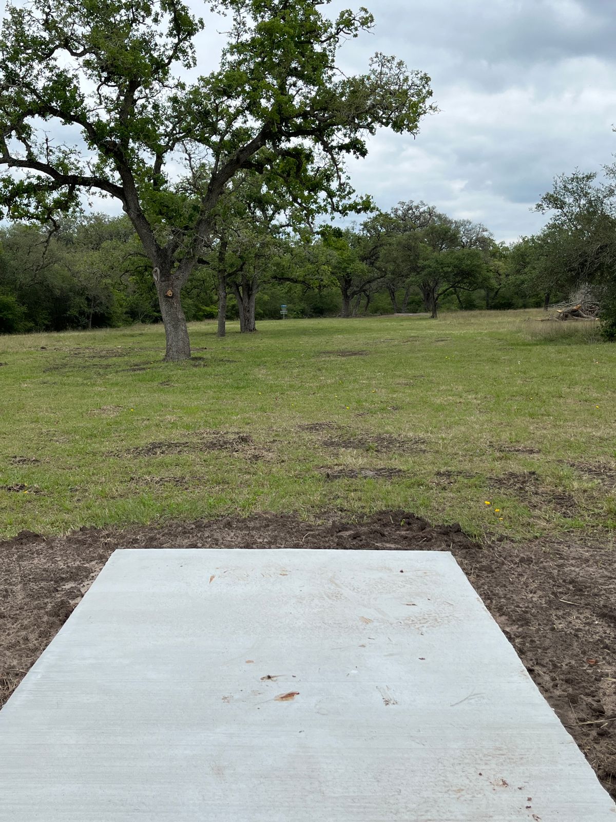 Hole 2, hyzer or flick, your choice. Long is not your friend