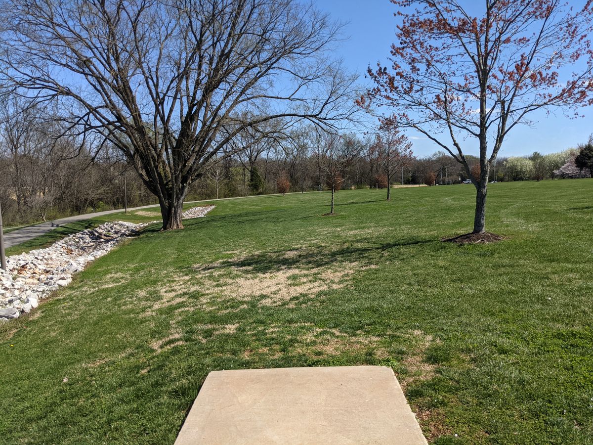 Hole 12 is a straight forward Par 3 that is easy to take for granted.  The guardian tree on the left reaches across much of the fairway and creates a low ceiling.  Players attempting to go around the trouble to the right must work around a cluster of small trees.