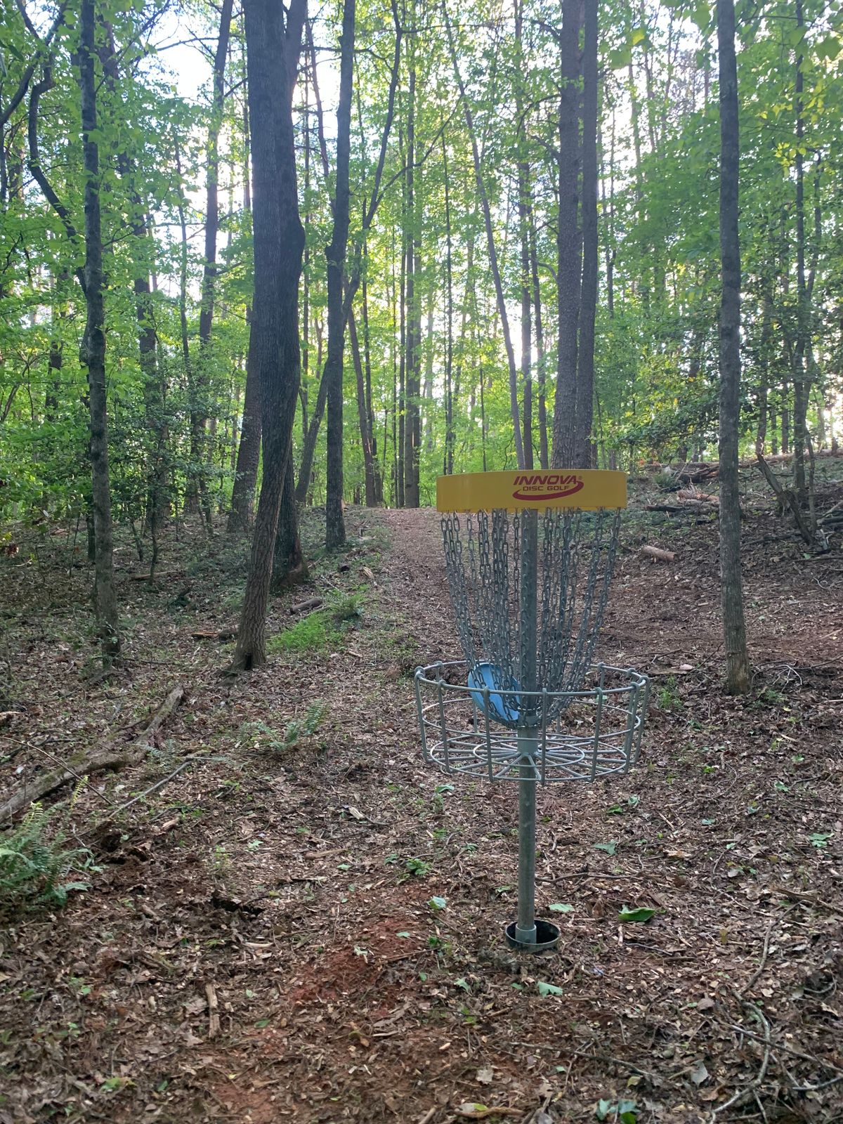 Basket Hole #5