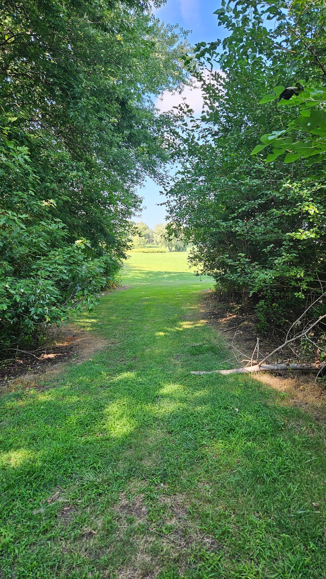 Hole 6 Tee