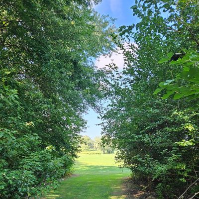 Hole 6 Tee