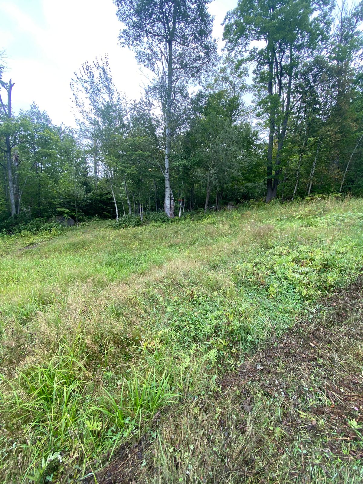 Hole 14 T