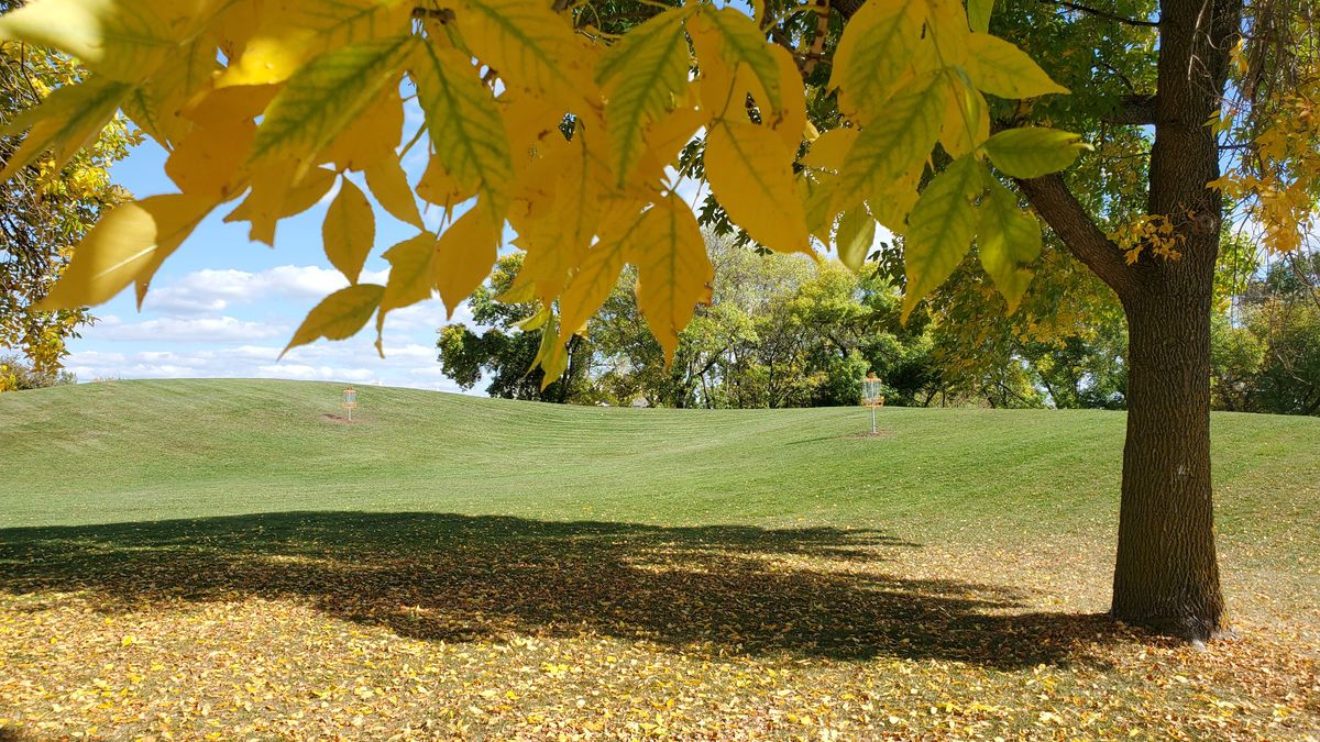 Fall colors