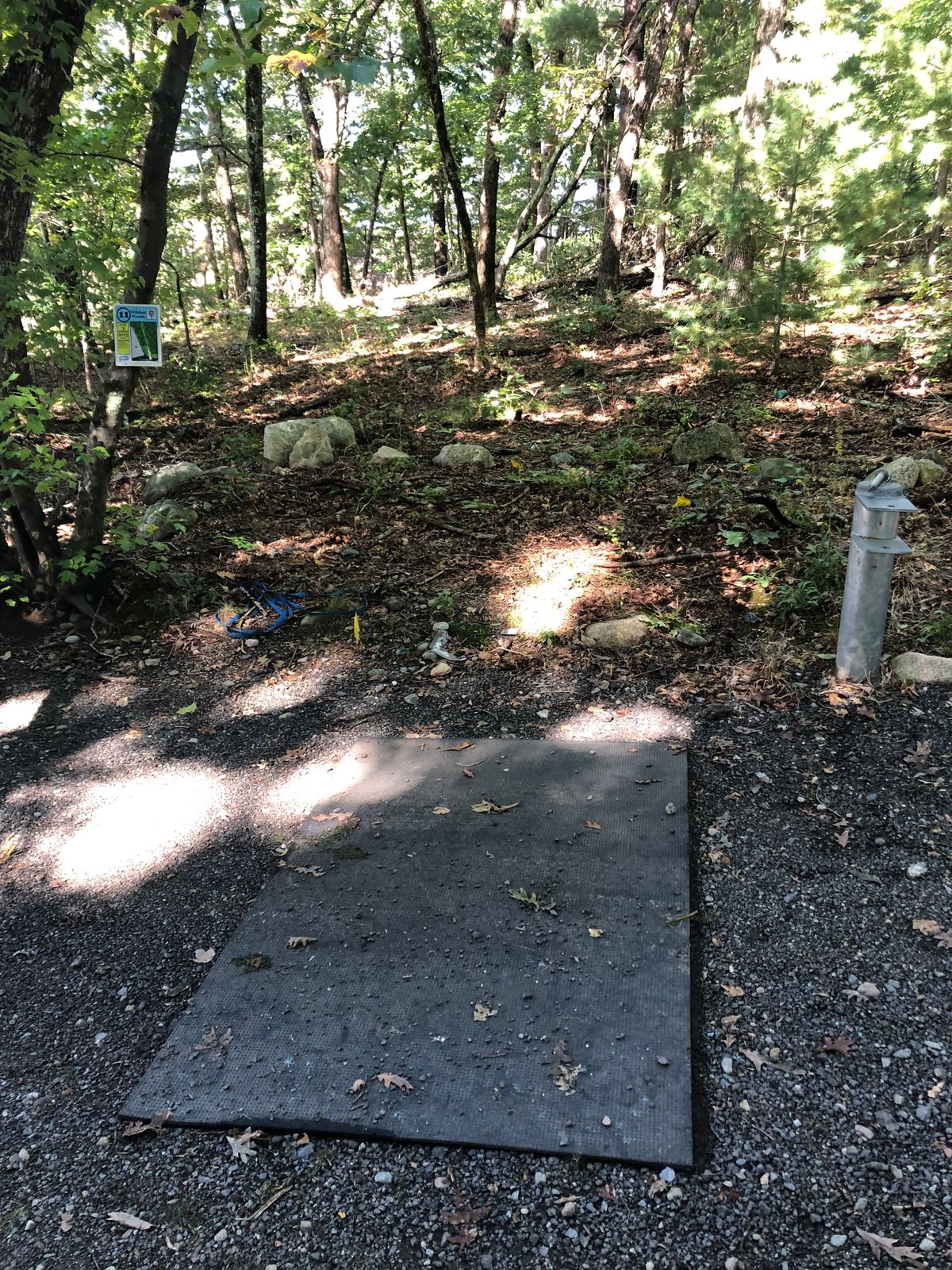 Hole 11 Tee