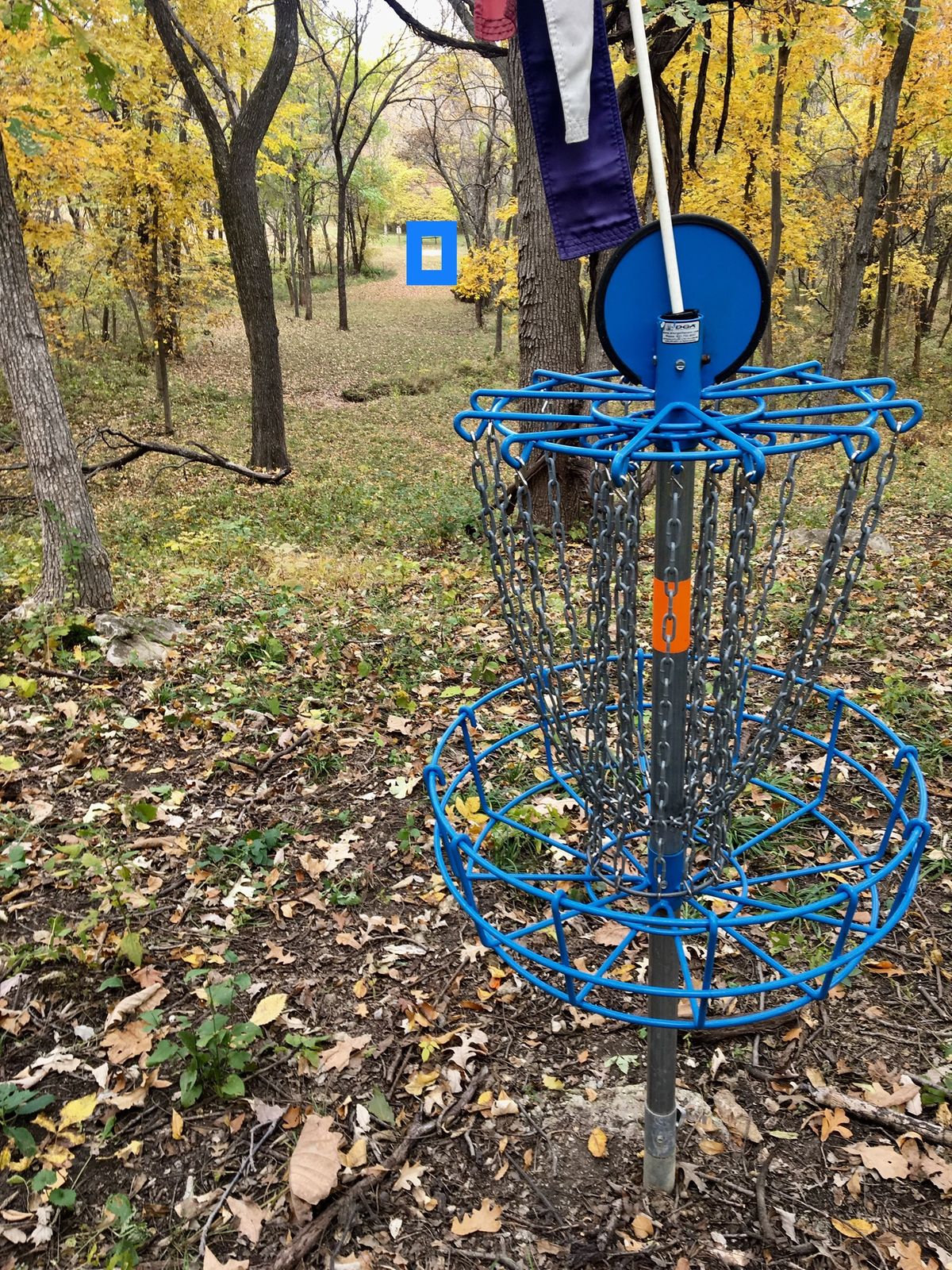 Hole 3 Basket to Tee (Short)