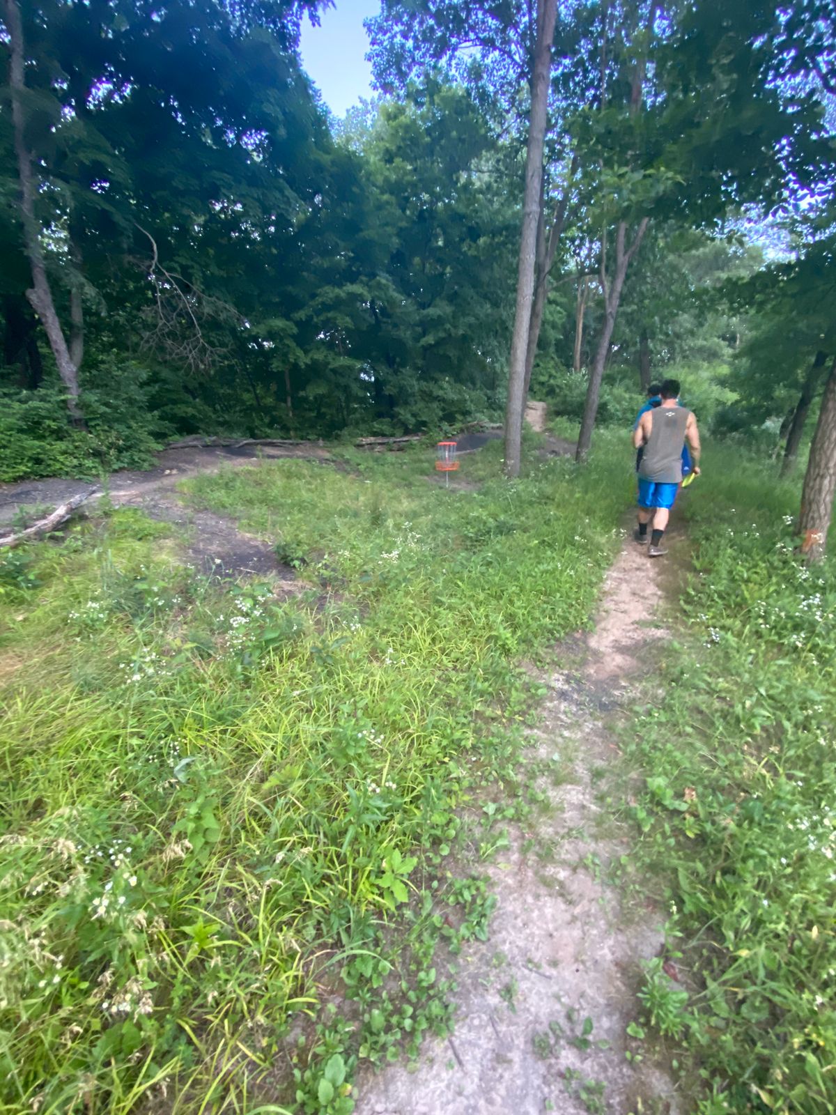 Hole 11 basket