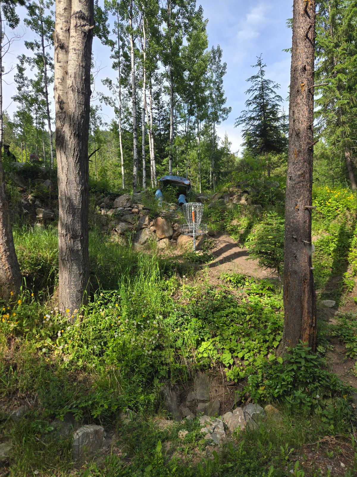 Basket and Green of hole 13